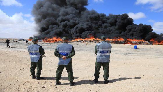 الداخلة..إتلاف أطنان من الشيرا