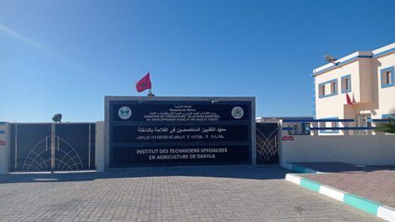 هام : إعلان عن فتح باب الترشيح بمعهد التقنيين المتخصصين في الفلاحة بالداخلة
