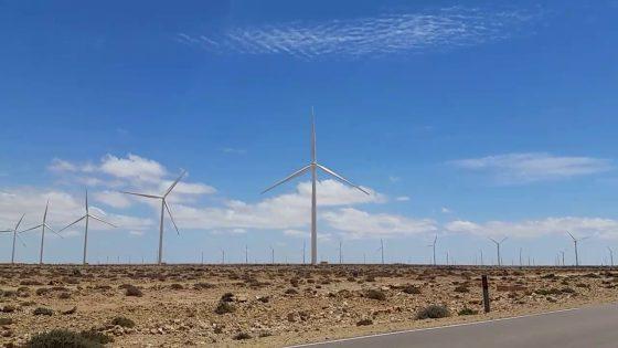 بوجدور..انطلاق التشغيل الكامل لطوربينات الرياح بقدرة إنتاجية تصل إلى 300 ميغاواط