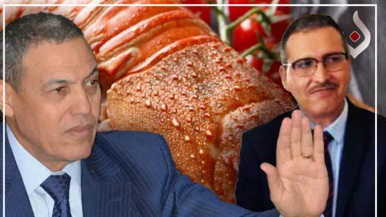 «لانكوست» وراء الخلافات بين والي العيون ومندوب الصيد البحري