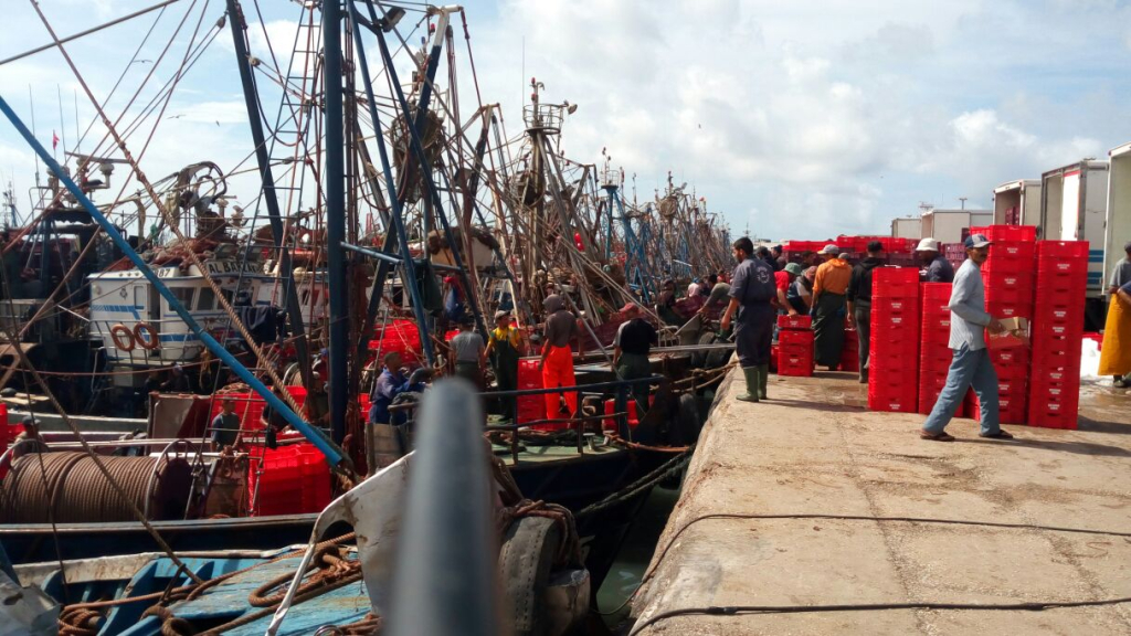 مهنيو الصيد البحري بمدينة العيون