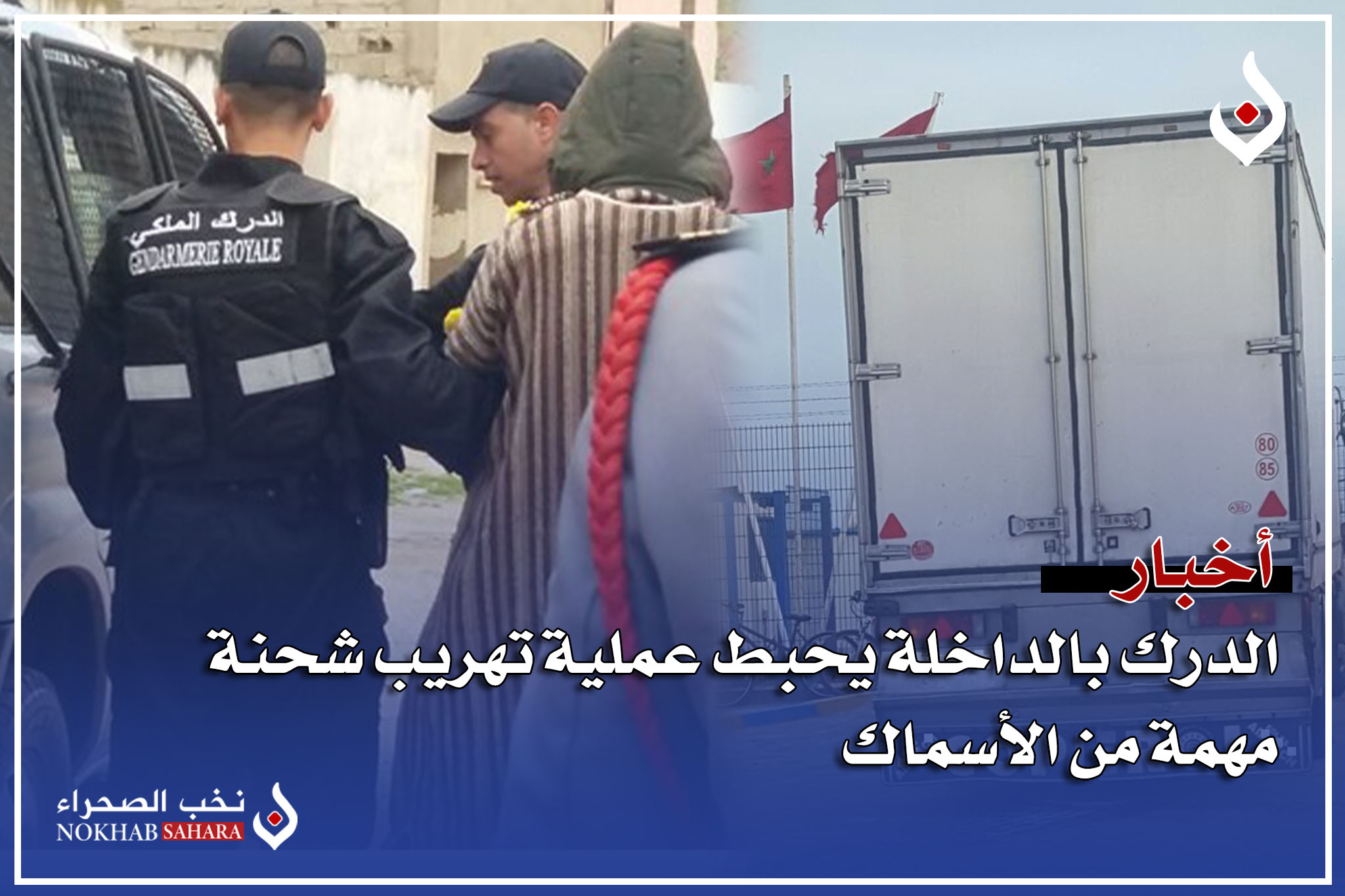 شحنة تهريب الاسماك