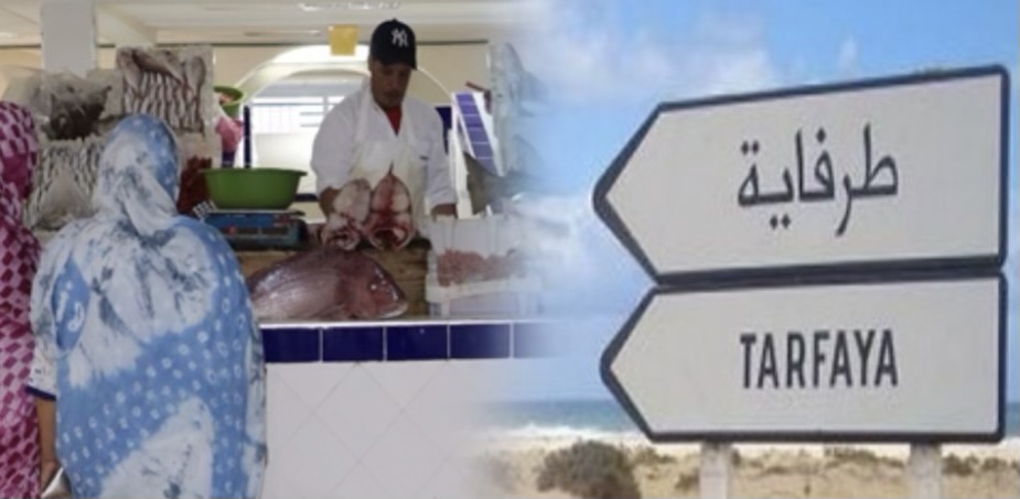 5 ملايين درهم .. قيمة توسيع وتأهيل سوق السمك بالطرفاية
