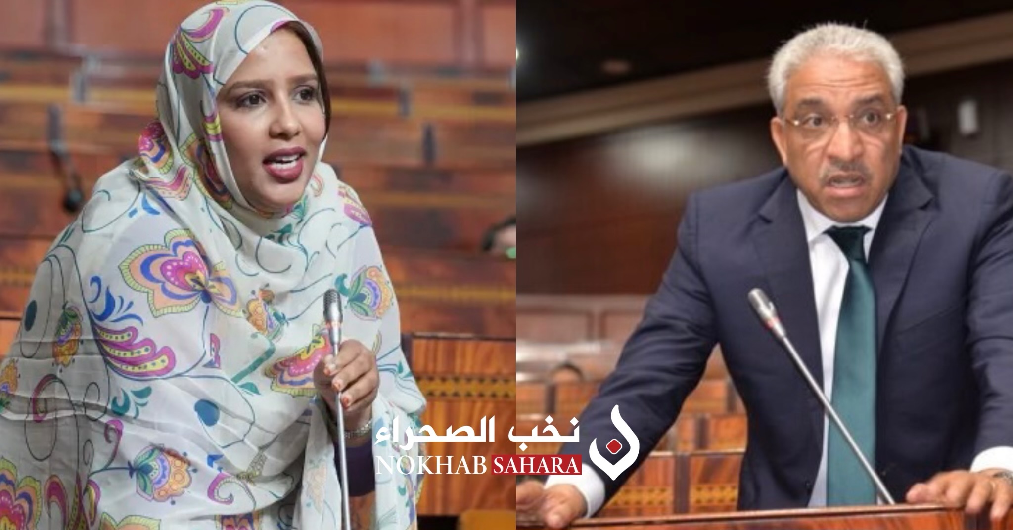 محمد صباري وليلى داهي ينضمون للفرق البرلمانية بالصحراء ويوجهون سؤال للوزير بنسعيد حول مصير المقاولات الصحفية بالصحراء