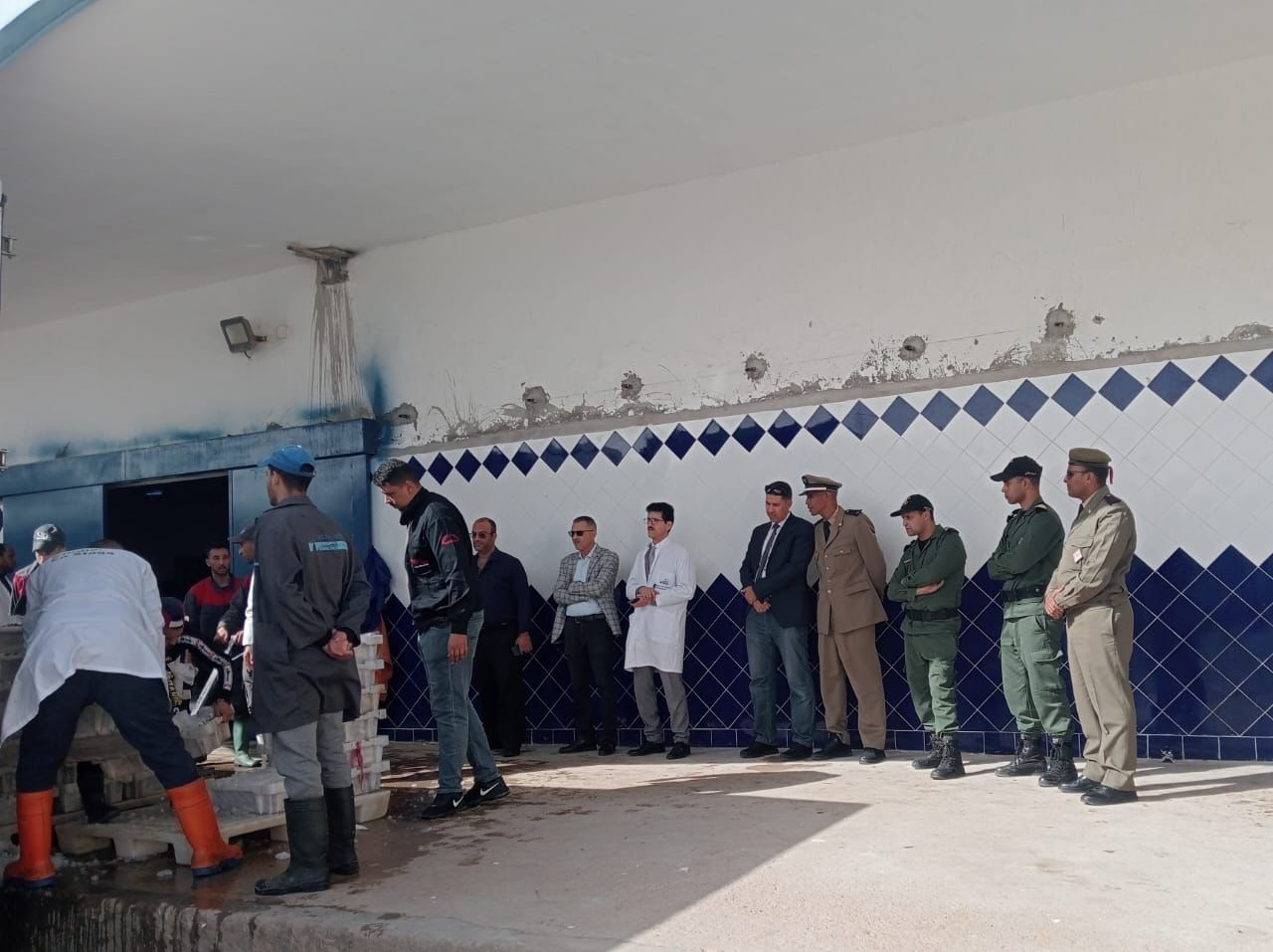 تهريب الأسماك ميناء العيون