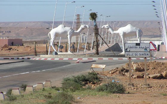 فضيحة بالطنطان