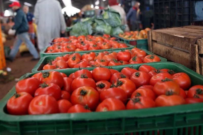 موريتانيا تحت ضغط أزمة الطماطم.. ارتفاع حاد في الأسعار بعد تراجع الإمدادات المغربية